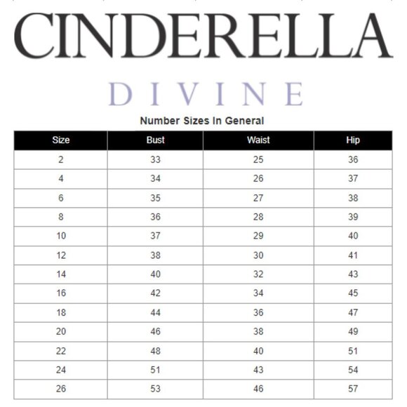 NWT Cinderella Divine 7487 Satin Prom Dress Pink Size 8 - Picture 5 of 8